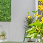 Apartament Apto Tendillas Centro Terraza - Oliva Kordoba